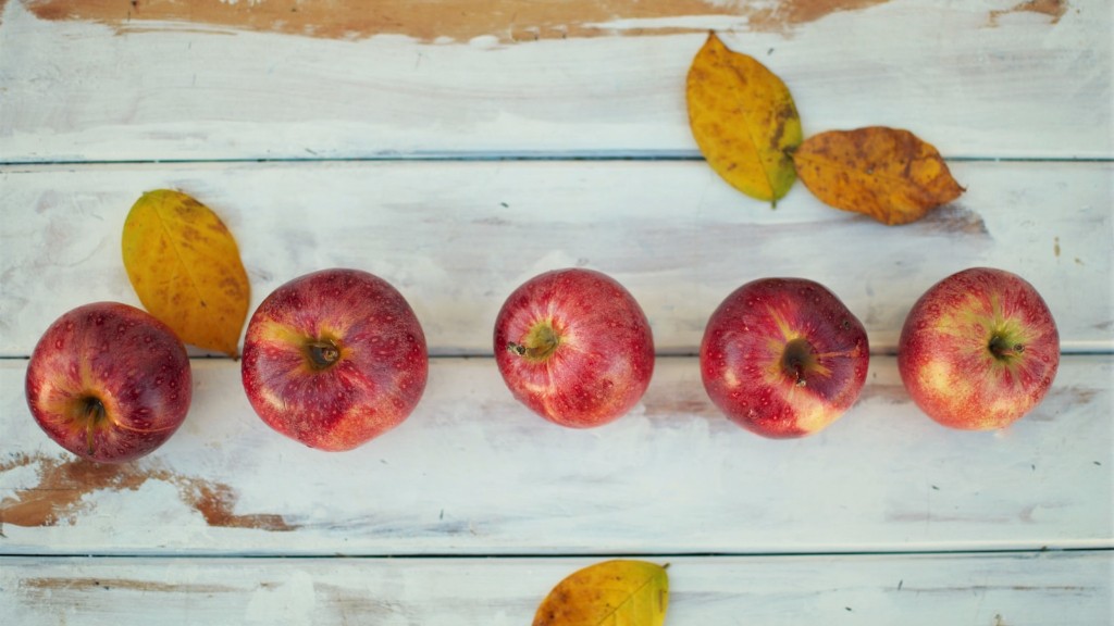 Kan hunde spise æblefritter?